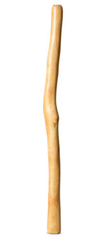 Medium Size Natural Finish Didgeridoo (TW1560)